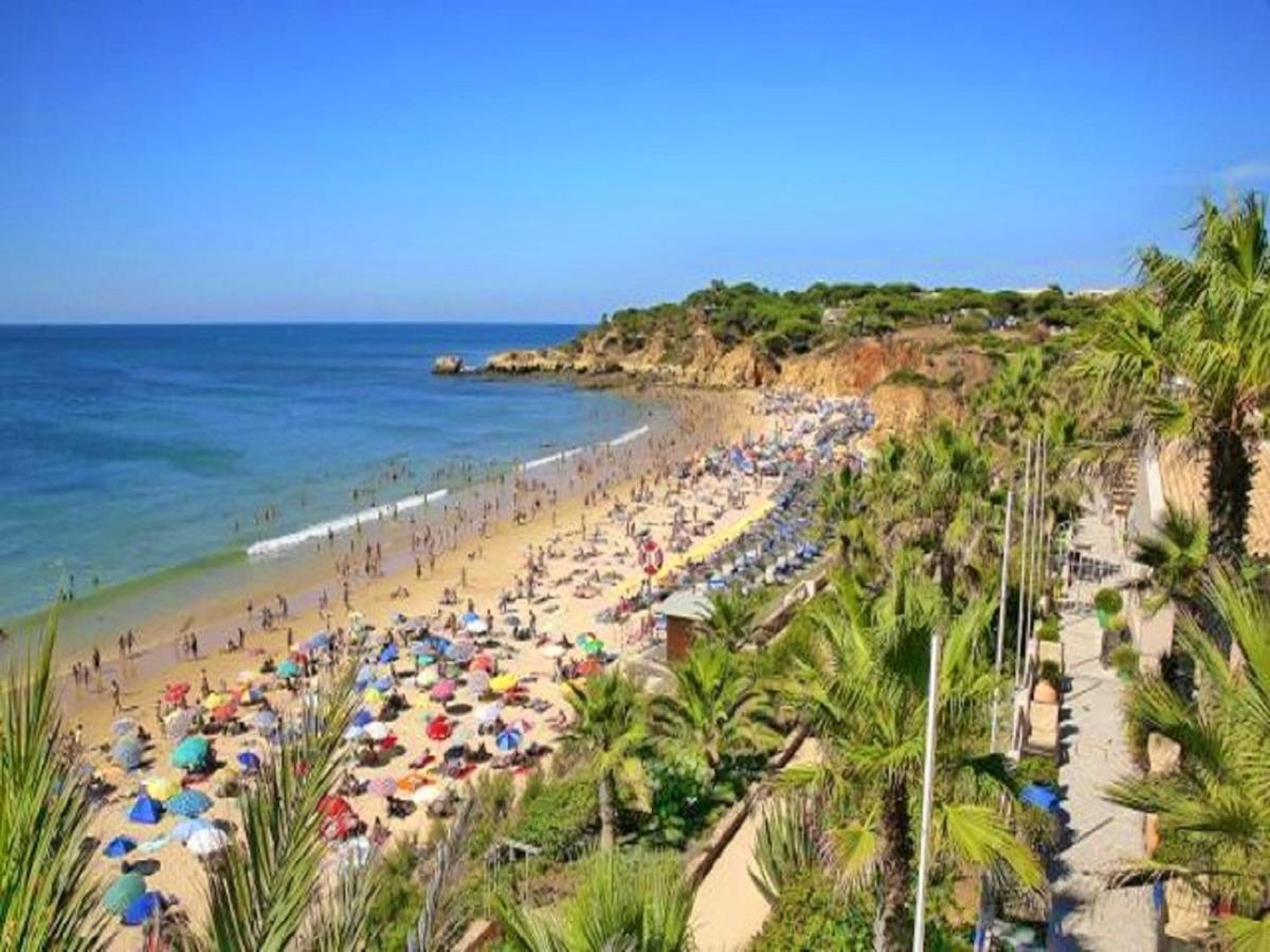 V4, Villa Jardins Branqueira2 Near Beach, 알부페이라 외부 사진