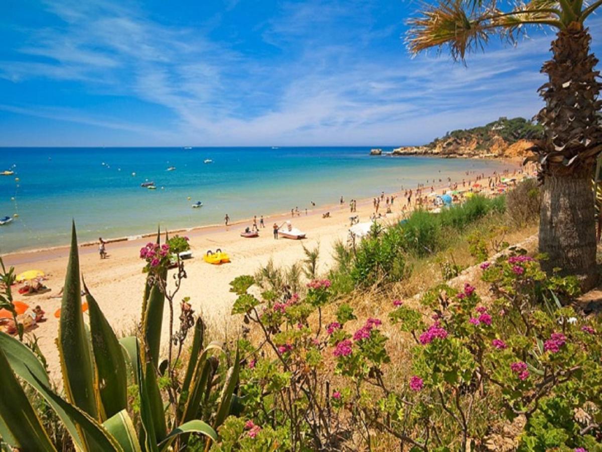 V4, Villa Jardins Branqueira2 Near Beach, 알부페이라 외부 사진